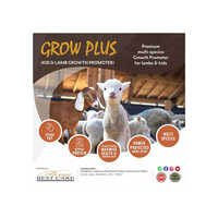 Grow Plus Goat Growth Promoter - Dried Powder, 100gm Dosage | Feed Grade Nutrition, Brown Color, 2-year Shelf Life, Easy To Administer