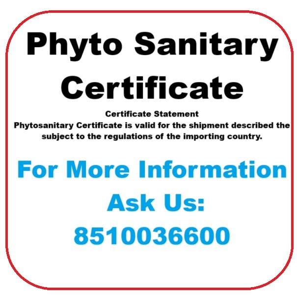 Phyto Sanitary Certificate