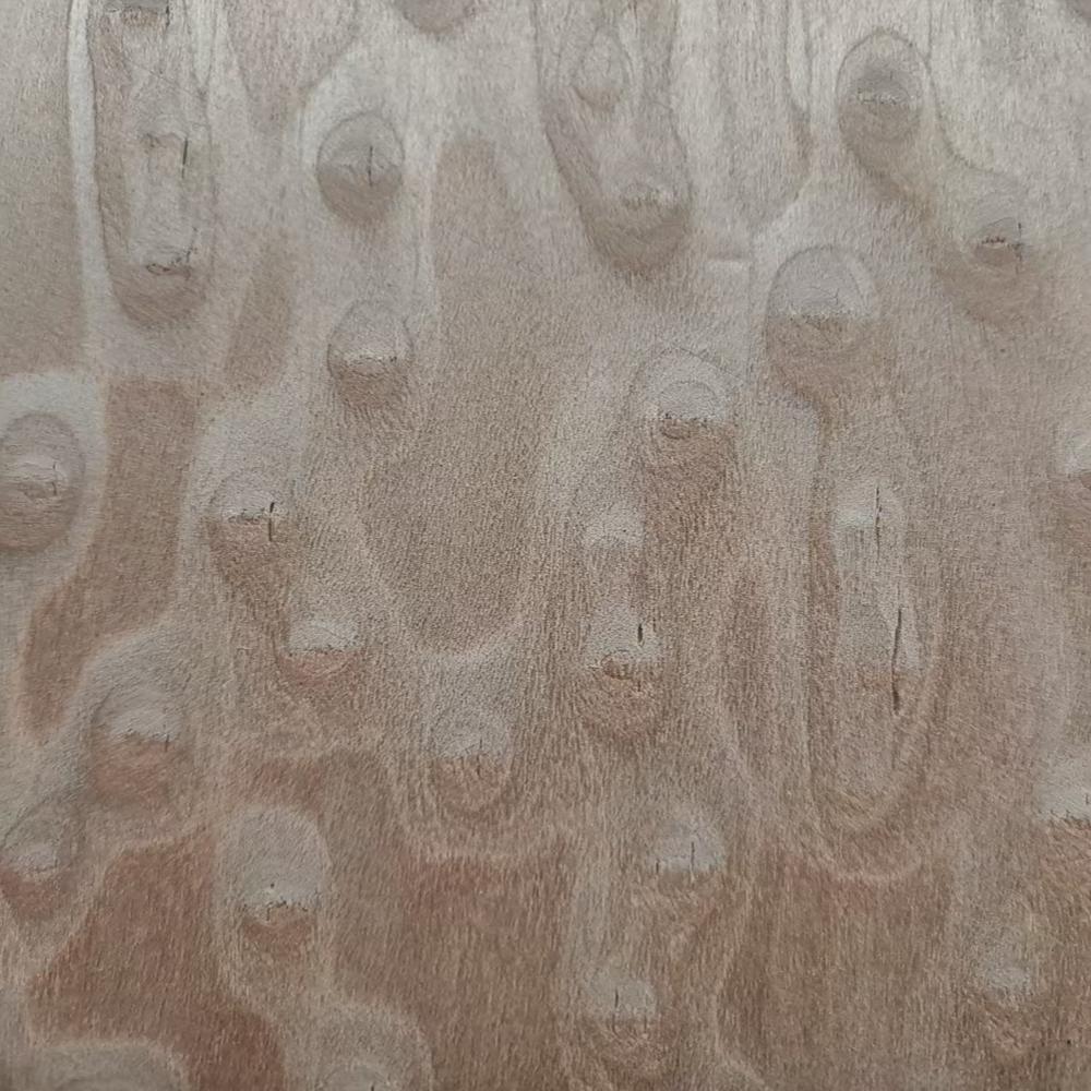 Pink Cat's Eye HH-11034N