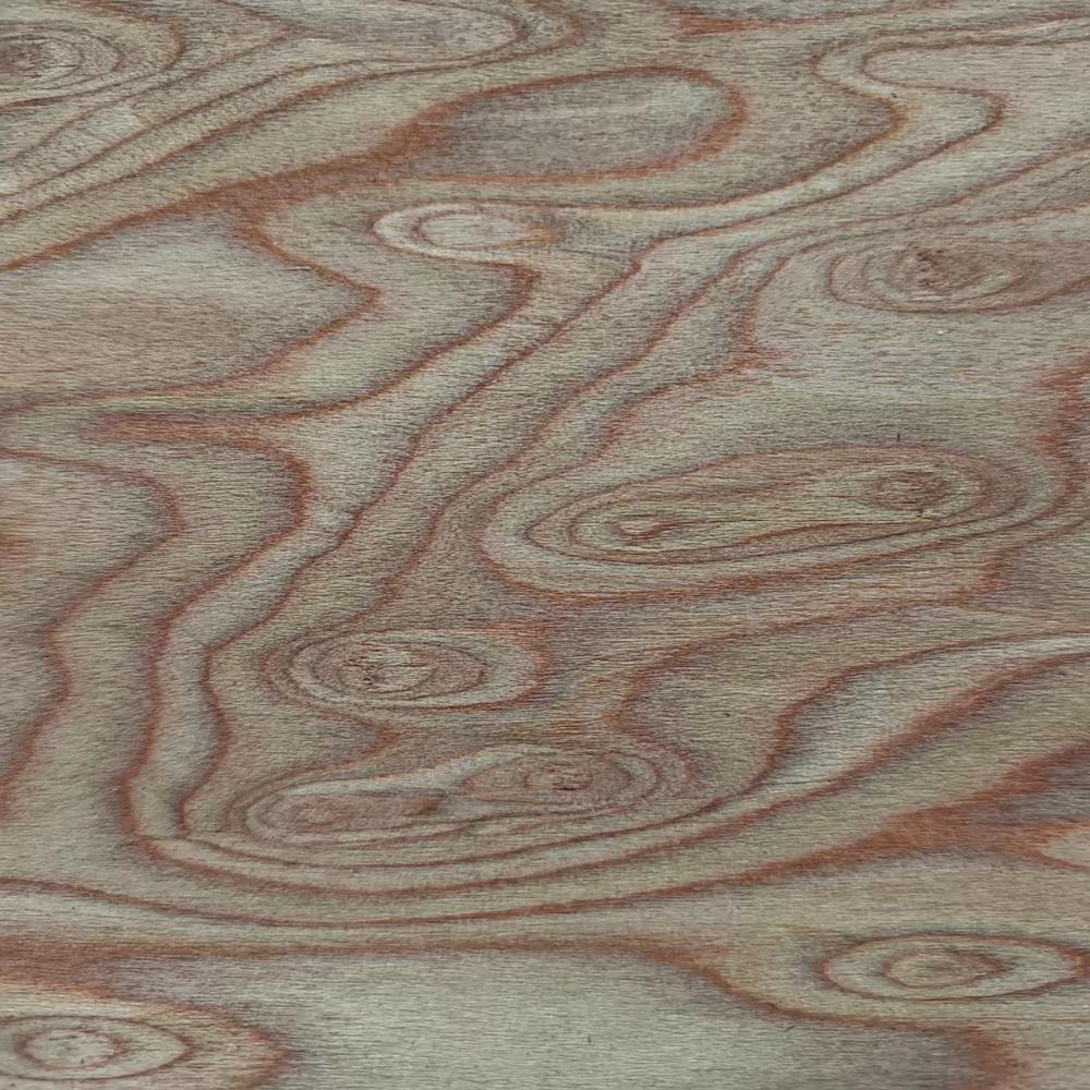 Brown Cat's Ey HH-11038N