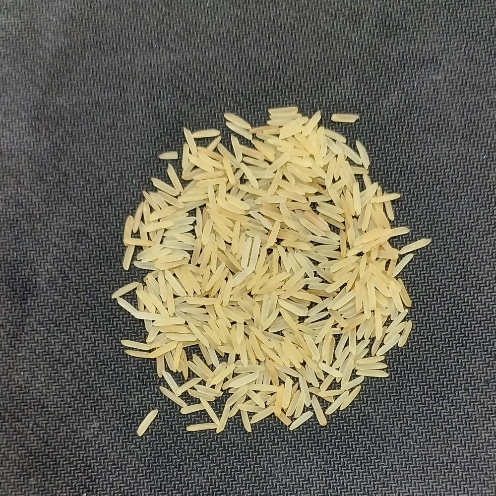 1121 गोल्डन सेला बासमती चावल