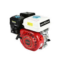 Neptune Npe-168s Petrol Engine - Frequency (mhz): 50 Hertz (hz)