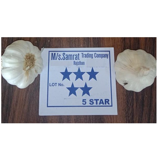 Natural White Garlic