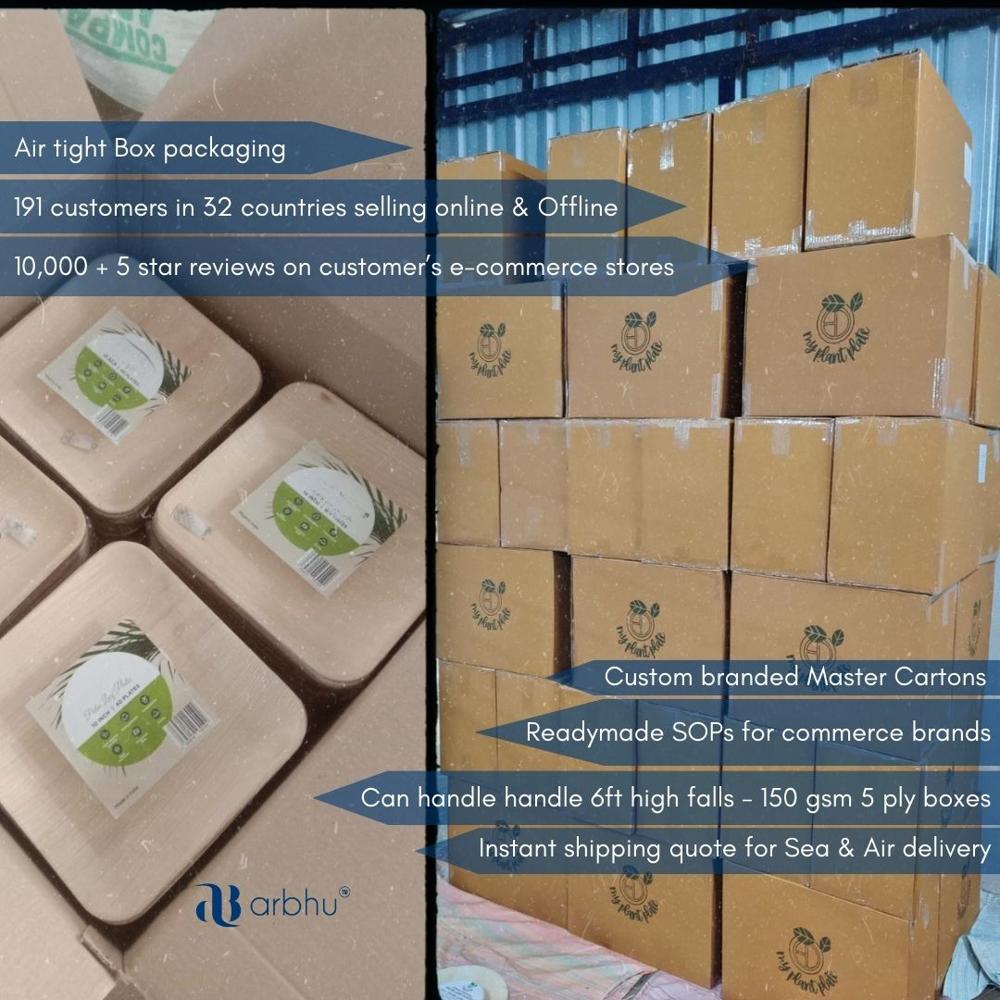 10" Square Areca Plates - Application: Natural