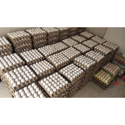 Pure White Eggs