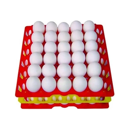White Poultry Eggs