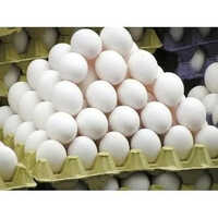 Natural White Poultry Eggs