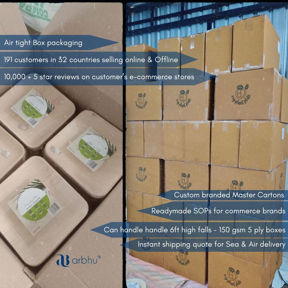 6x4 Inch Square Palm Leaf Plate - 100% Natural Palm Leaves, Elegant Natural Finish, Biodegradable & Compostable, Lightweight & Leak-proof