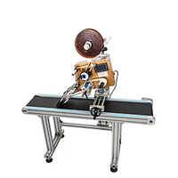 Tz200-Ii Automatic Labeling Machine With Conveyor - Color: Silver