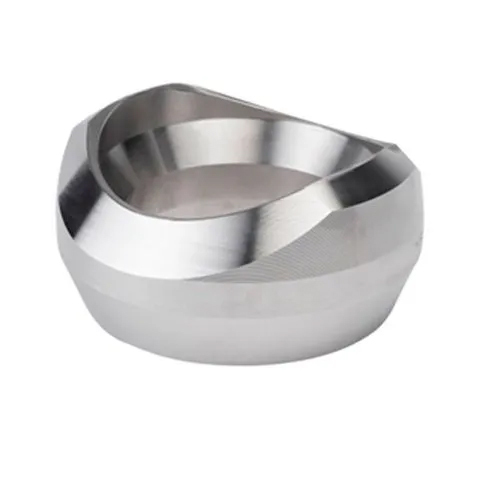 Stainless Steel 304 Sockolet