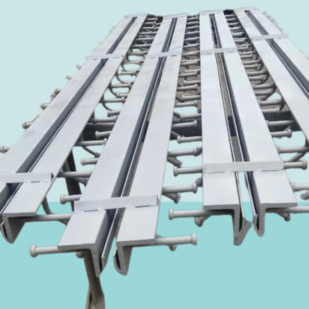 M Type Strip Seal Expansion Joint