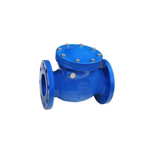 Cast Iron Swing Check Valve - Color: Blue