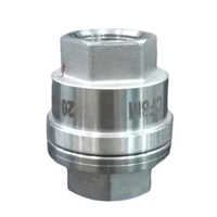 Stainless Steel Non Return Valve - Color: Silver