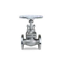 Industrial Stainless Steel Globe Valve - Color: Silver