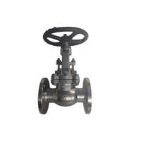 Heavy Duty Stainless Steel Globe Valve