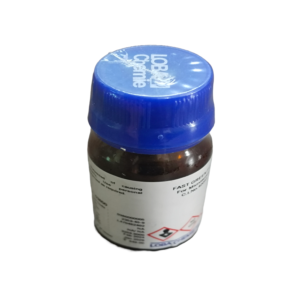FAST GARNET GBC SALT