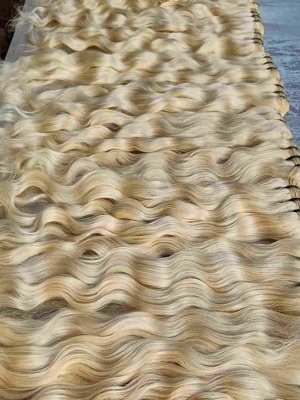 Blonde Hair