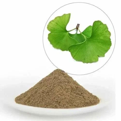 Ginkgo Biloba Extract 24% - Direction: As Suggested