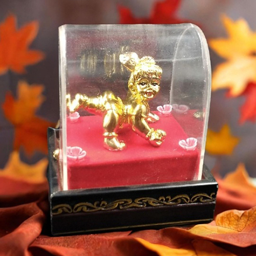 Ladu Gopal Ji Cabinet