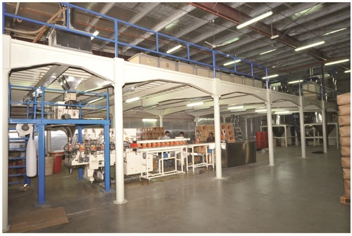 सेमी-ऑटोमैटिक स्टील फैब्रिकेटेड मेजेनाइन फ्लोर