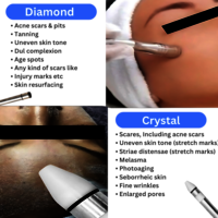 Hydra Facial MDA with  10 in 1 Small Model Electroporation Machine