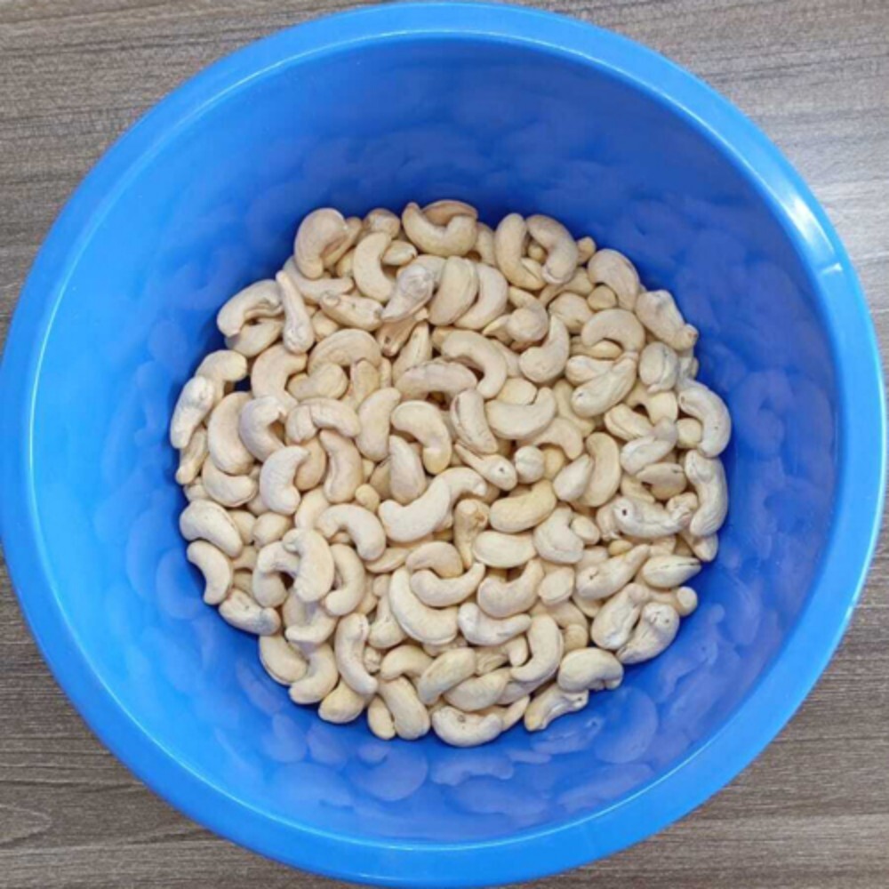W-240 Cashew Nut - Cultivation Type: Common