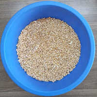 Sp-16 Pieces Cashew Nut - Cultivation Type: Common