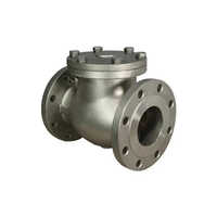750mm Check Valve Casting - Color: Silver