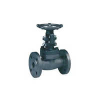 Wcb Gate Valve - Color: Grey