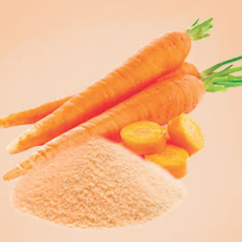 Fresh Dehydrated Carrot Powder - Preserving Compound: As Per Industry Norms