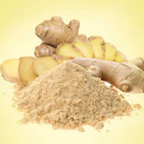 Fresh Dehydrated Ginger Powder