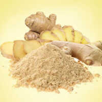 Fresh Dehydrated Ginger Powder