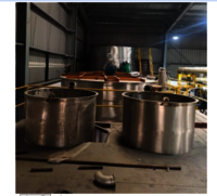 Industrial Zinc Sulphate Plant - Automatic Grade: Automatic