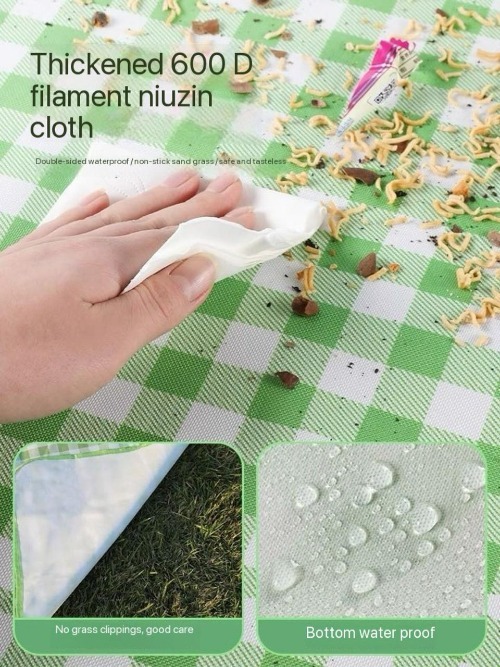 Big Picnic Mat  With Bag