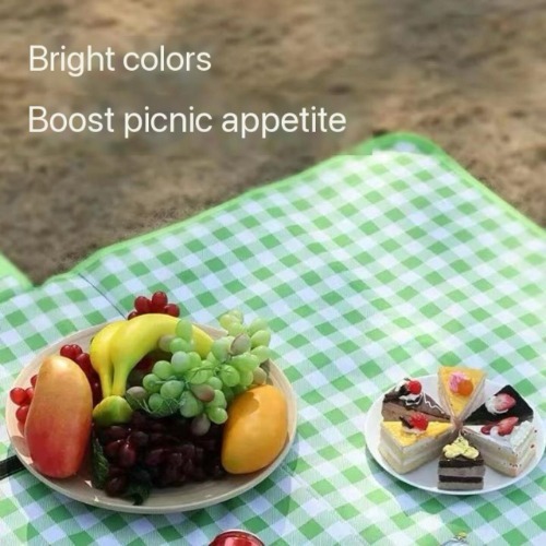 Big Picnic Mat  With Bag