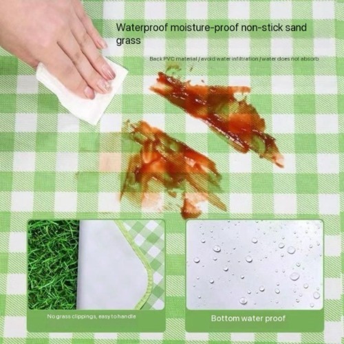 Big Picnic Mat  With Bag