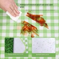 Big Picnic Mat  With Bag