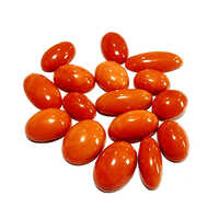 17.65 Ct Untreated Natural Italian Red Coral Gemstones - Material: Stone