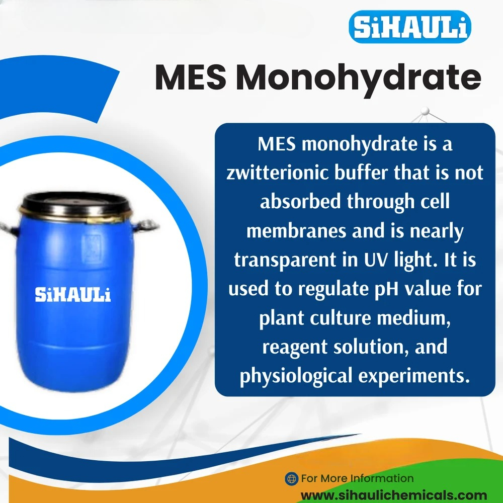 MES Monohydrate Manufacturers, Suppliers, Exporters From Vasai Mumbai