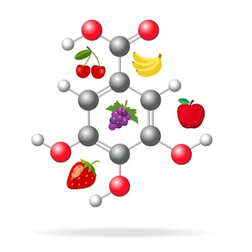 Gallic Acid Manufacturers, Suppliers, Exporters From Vasai Mumbai India
