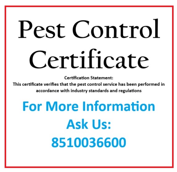 Pest Control Certificate
