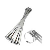 Ss304 Non Releasable Cable Ties - Length: 300