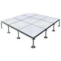 Raised False Flooring - Color: Gray