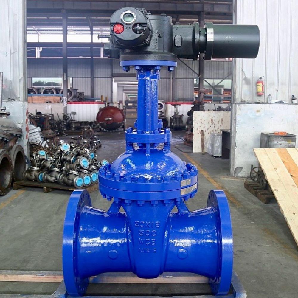 Motorised Gate Valve - Application: Industrial