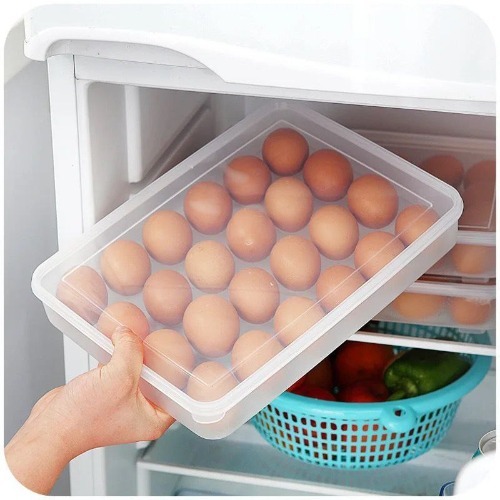 24 Grid Egg Box  Plastic