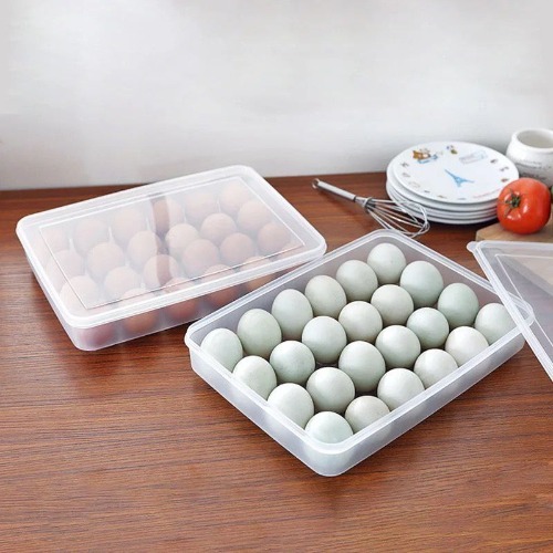 24 Grid Egg Box  Plastic
