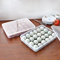 24 Grid Egg Box  Plastic