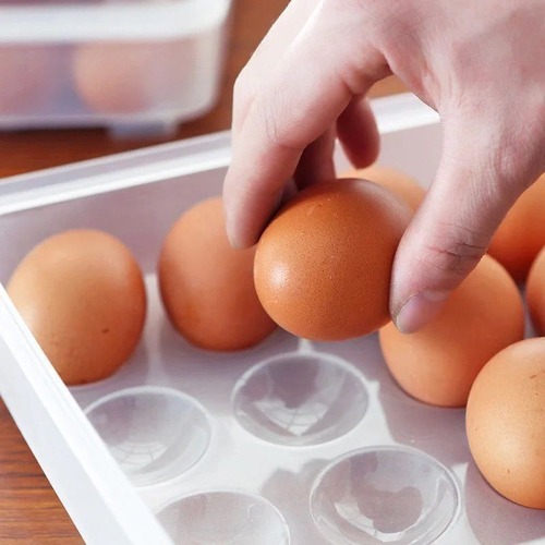 24 Grid Egg Box  Plastic