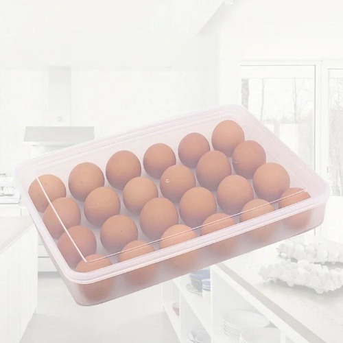 24 Grid Egg Box  Plastic