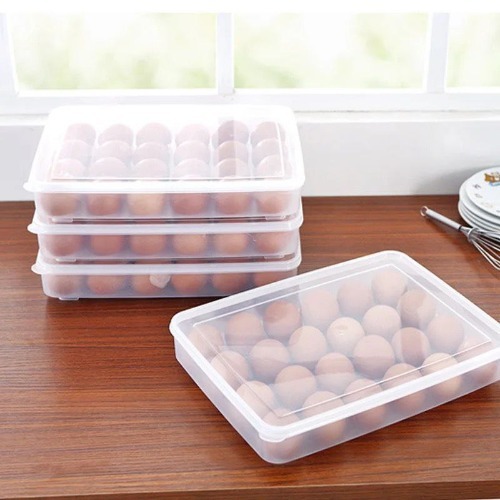24 Grid Egg Box  Plastic